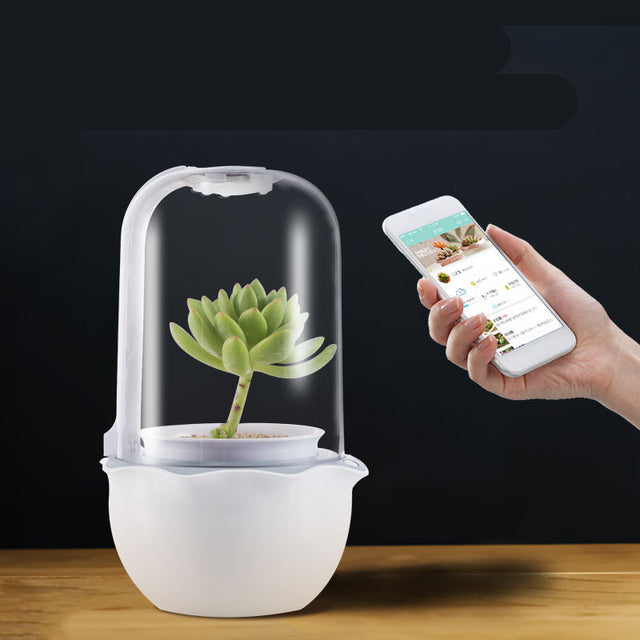 Cute Desktop Simple Creative Smart Plant Flower Pot