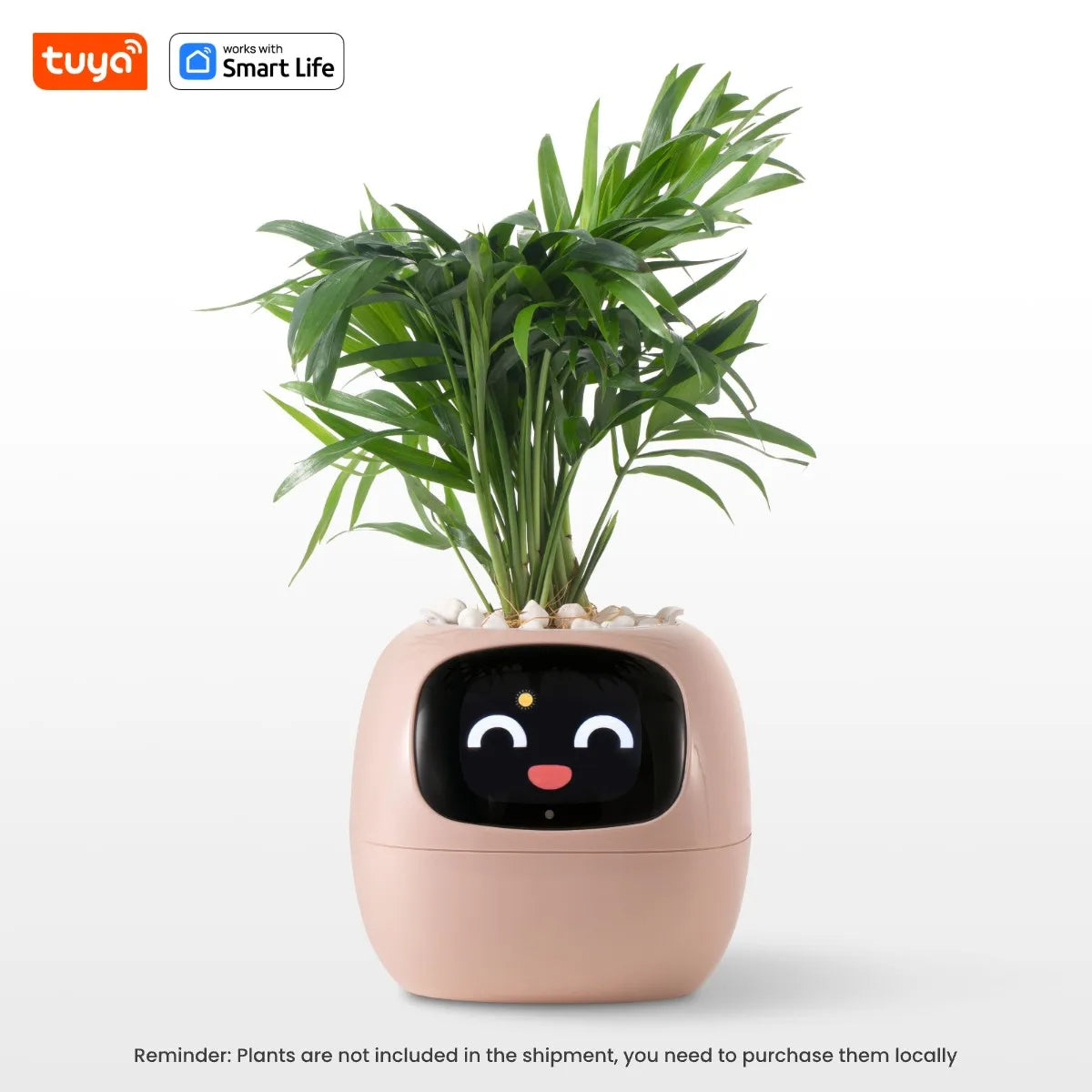 Tuya Ivy Smart Planter β AI-Powered Interactive Plant Pot with Smart Sensors | Aura Decors