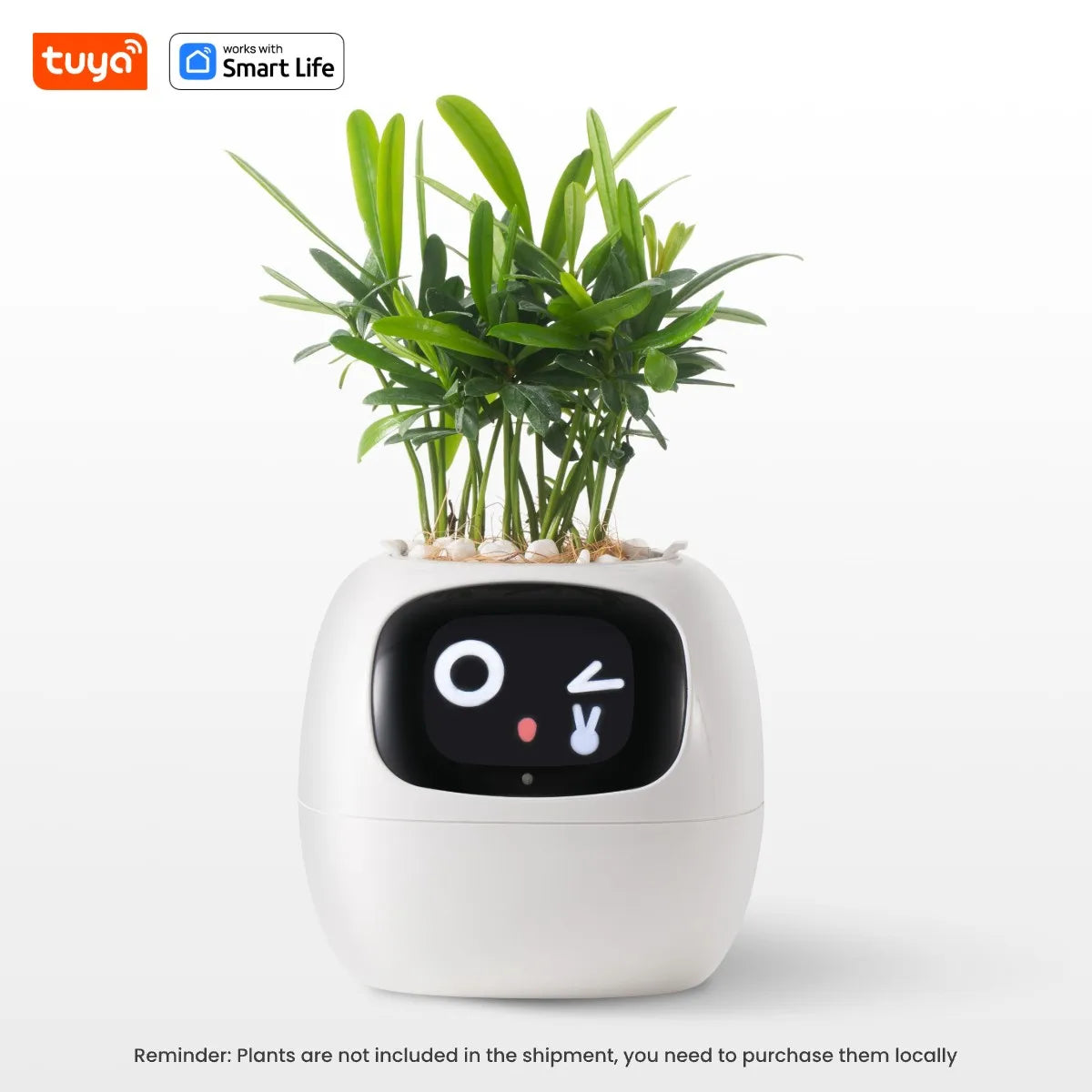 Tuya Ivy Smart Planter β AI-Powered Interactive Plant Pot with Smart Sensors | Aura Decors