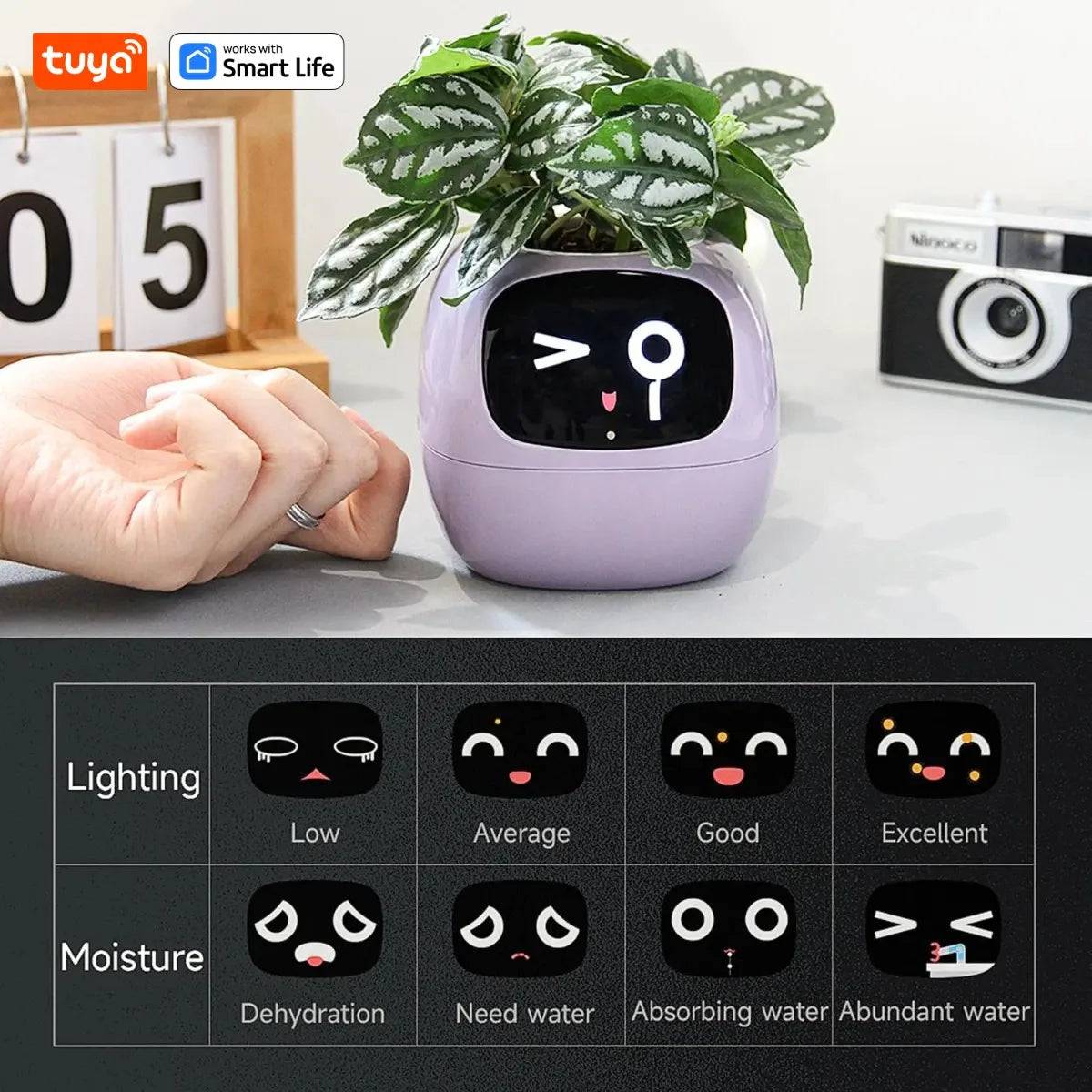 Tuya Ivy Smart Planter β AI-Powered Interactive Plant Pot with Smart Sensors | Aura Decors