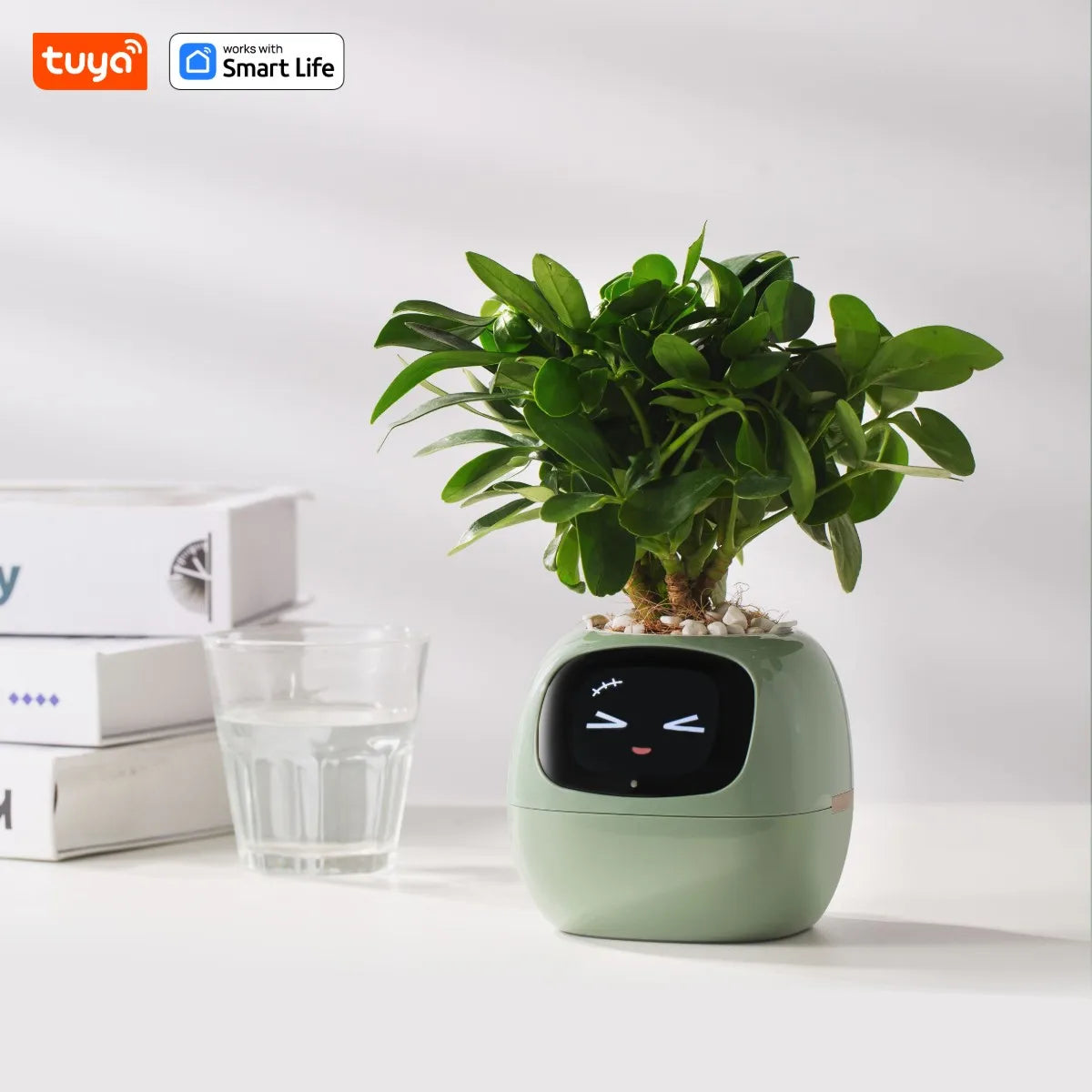 Tuya Ivy Smart Planter β AI-Powered Interactive Plant Pot with Smart Sensors | Aura Decors