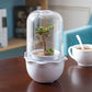 Cute Desktop Simple Creative Smart Plant Flower Pot