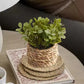 Small Faux Potted Plant Decor