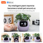 Tuya Ivy Smart Planter – AI-Powered Interactive Plant Pot with Smart Sensors | Aura Decors
