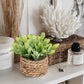 Small Faux Potted Plant Decor