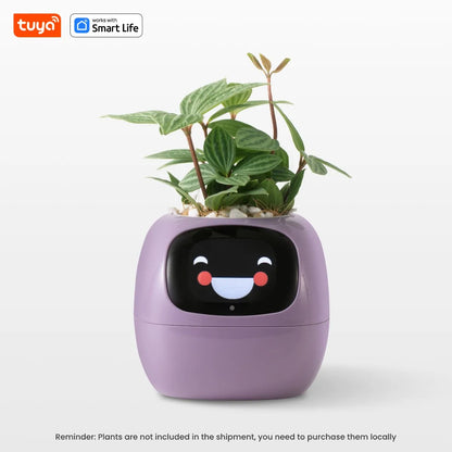 Tuya Ivy Smart Planter – AI-Powered Interactive Plant Pot with Smart Sensors | Aura Decors
