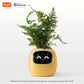 Tuya Ivy Smart Planter – AI-Powered Interactive Plant Pot with Smart Sensors | Aura Decors