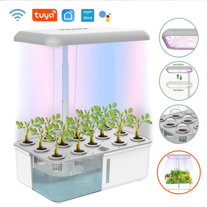 Tuya WiFi Smart Hydroponics System with LED Grow Light – 14-Pod Soilless Indoor Planter | Self-Watering Smart Garden for Home