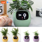 Tuya Ivy Smart Planter – AI-Powered Interactive Plant Pot with Smart Sensors | Aura Decors