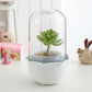 Cute Desktop Simple Creative Smart Plant Flower Pot
