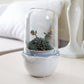 Cute Desktop Simple Creative Smart Plant Flower Pot